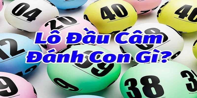 Giải đáp đầu câm là gì